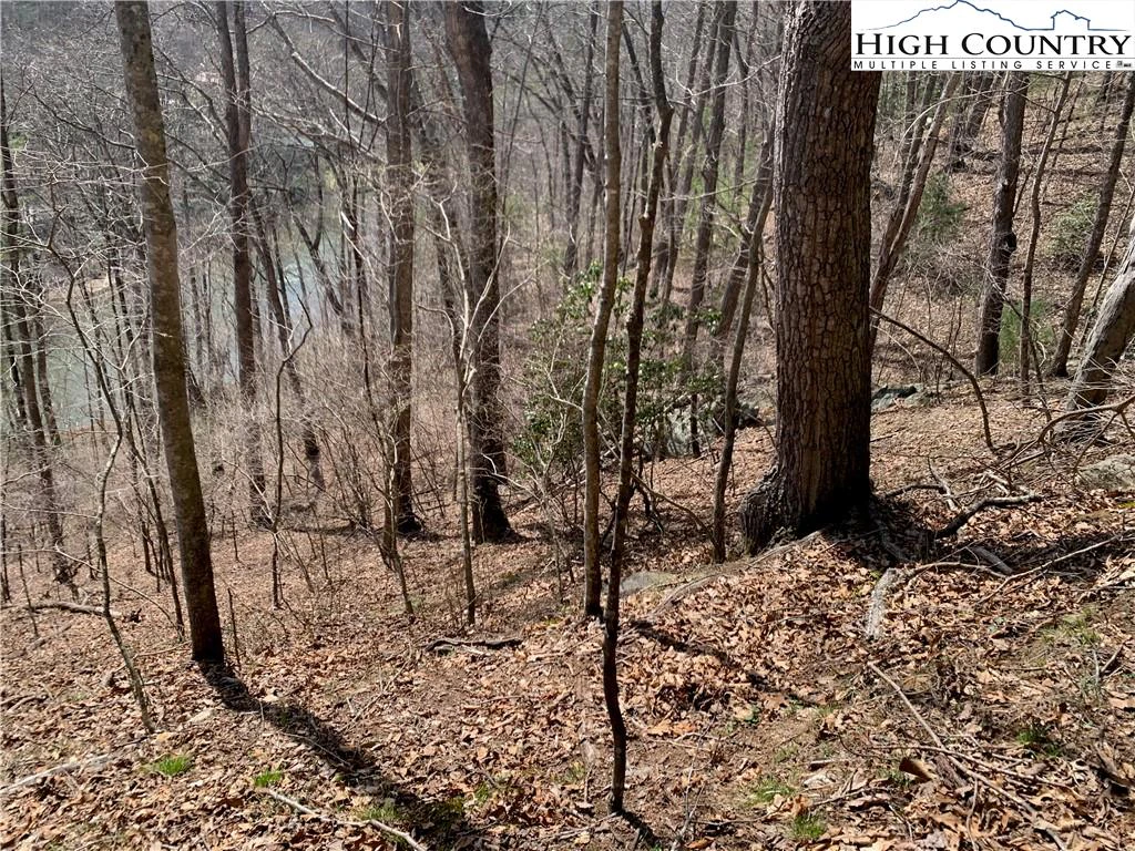 Image number 12 for the current listing