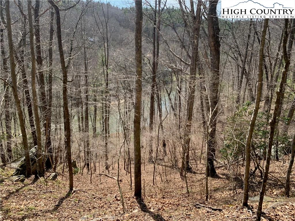 Image number 2 for the current listing