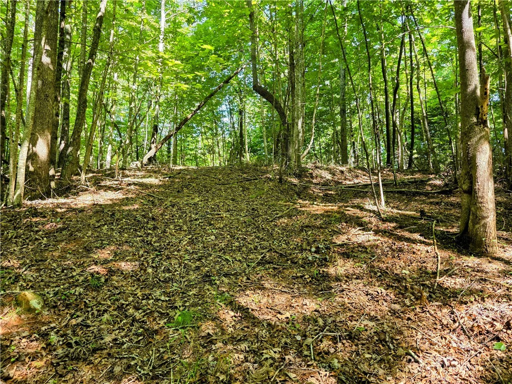 Image number 1 for the current listing