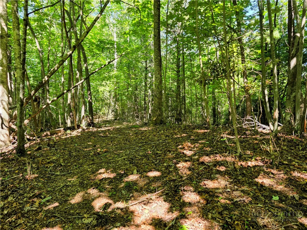Image number 2 for the current listing