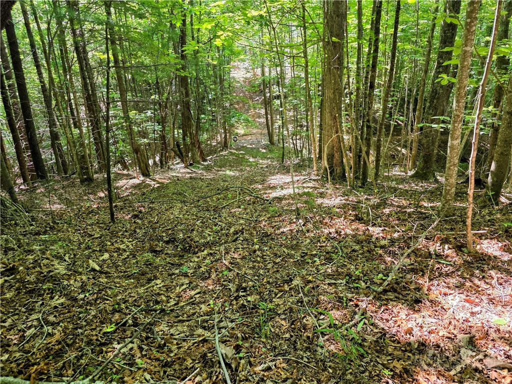 Image number 4 for the current listing