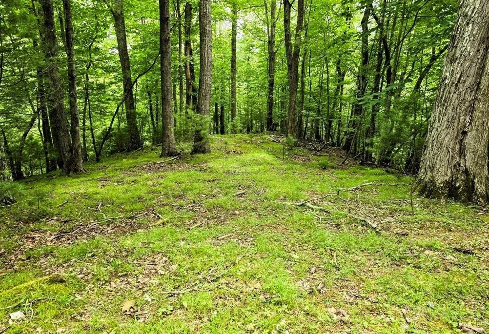 Image number 5 for the current listing