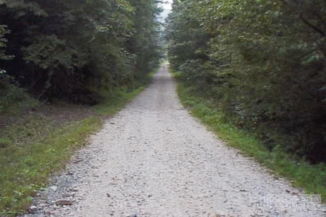 Image number 6 for the current listing