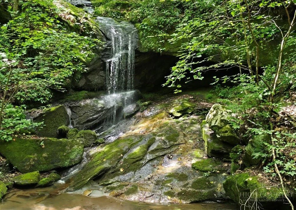 Image number 7 for the current listing