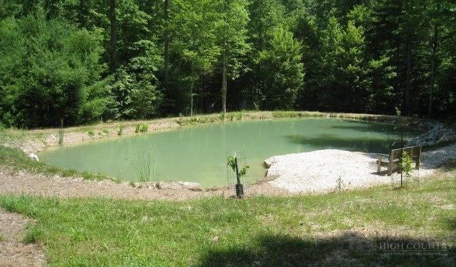 Image number 10 for the current listing