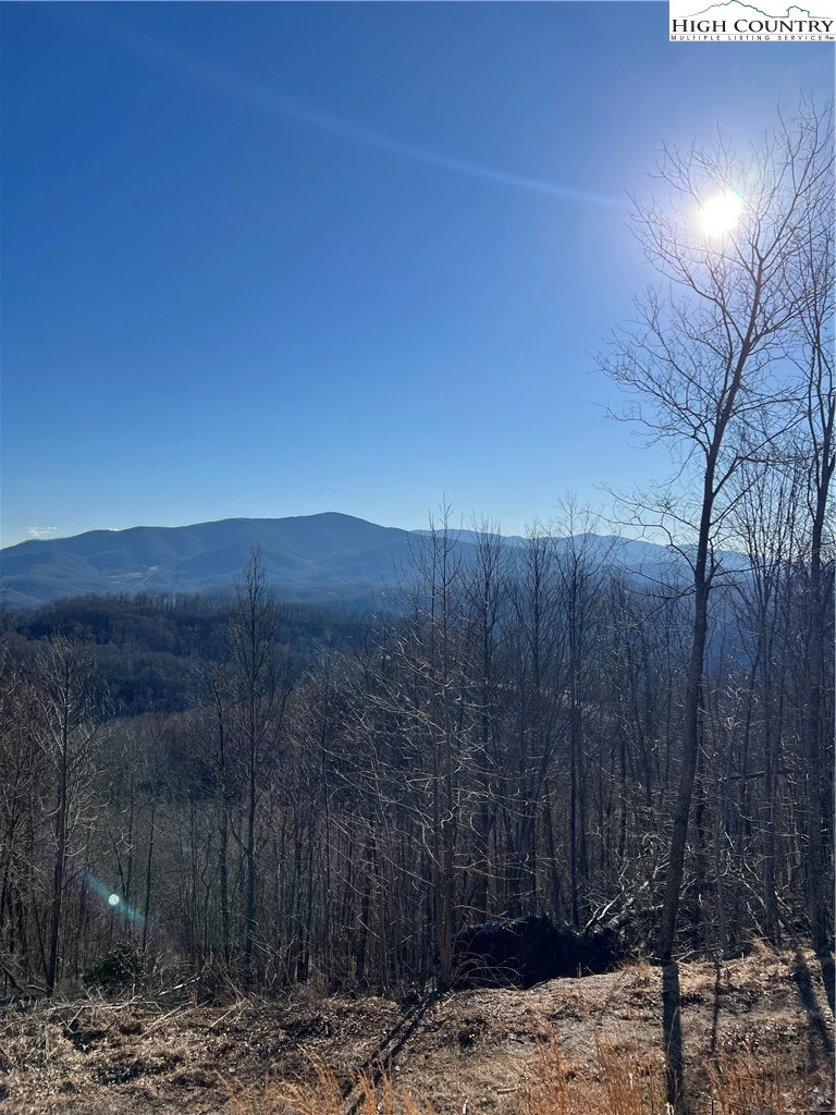 Image number 1 for the current listing