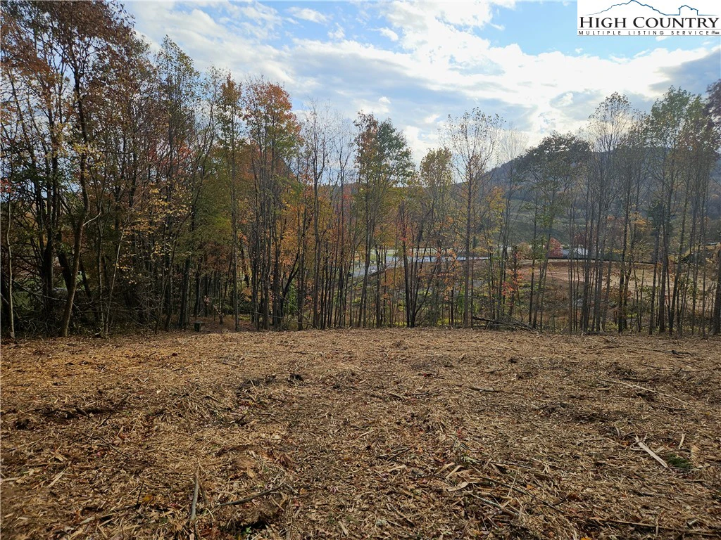 Image number 1 for the current listing