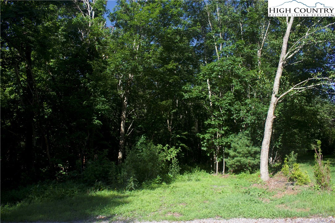 Image number 16 for the current listing