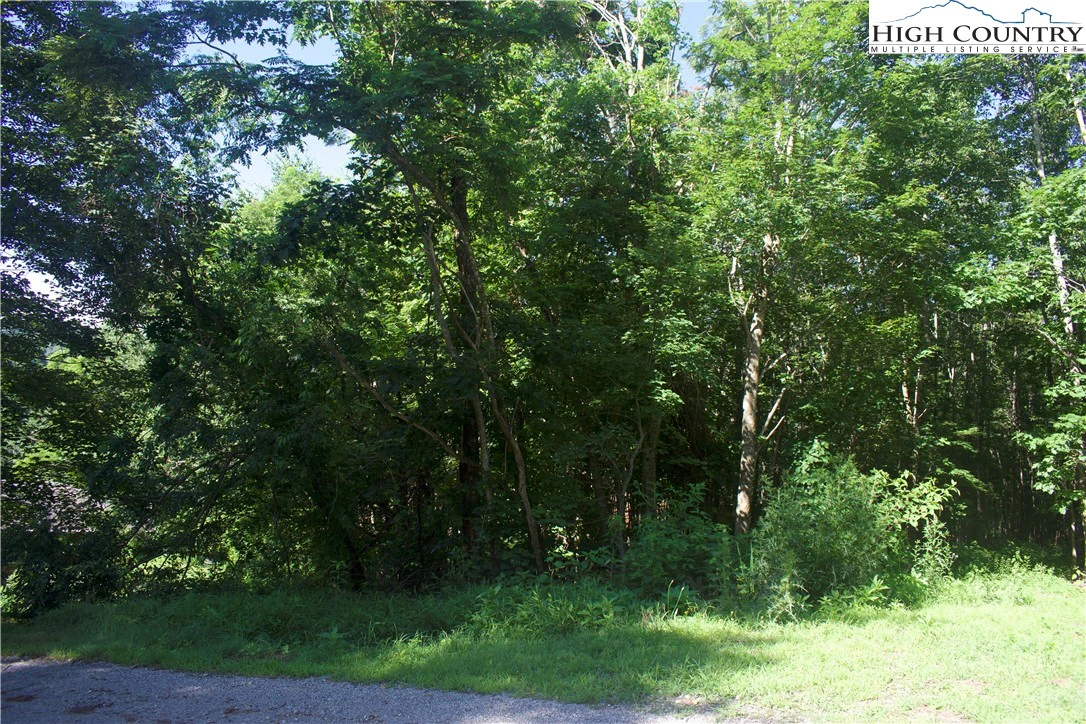 Image number 15 for the current listing