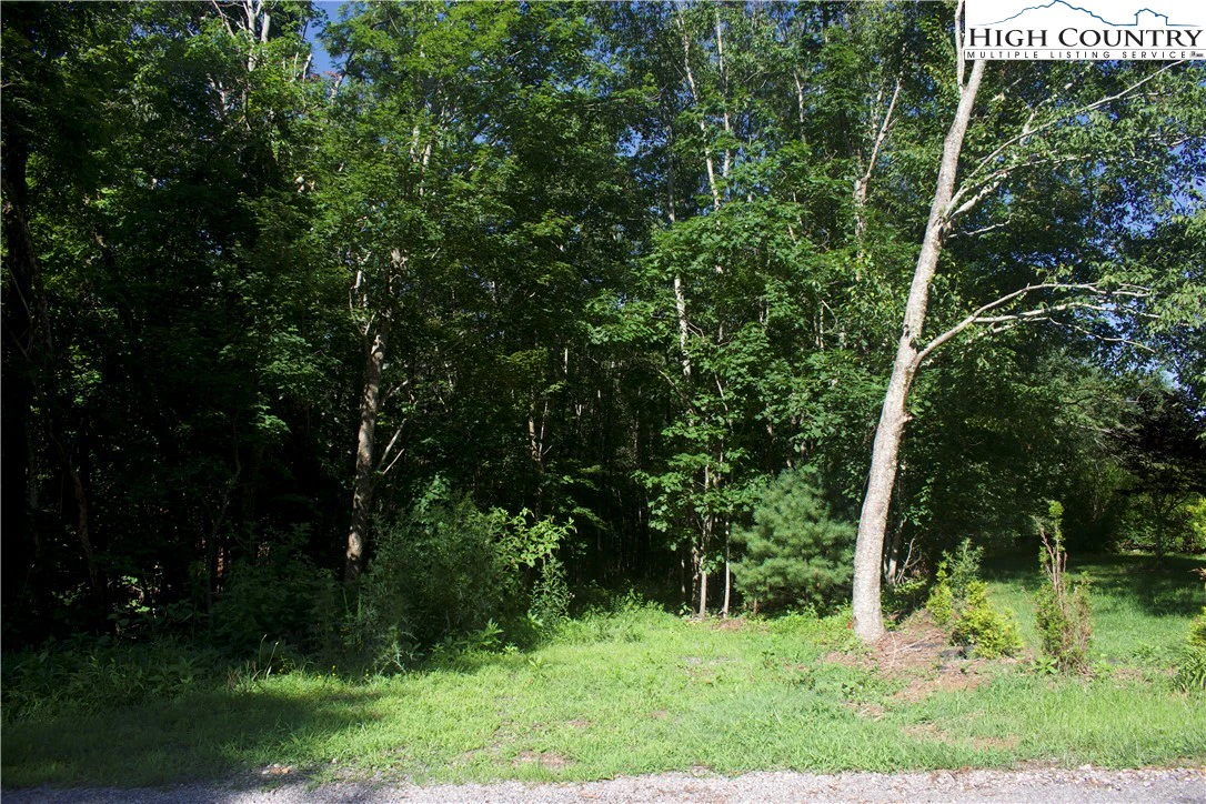 Image number 14 for the current listing
