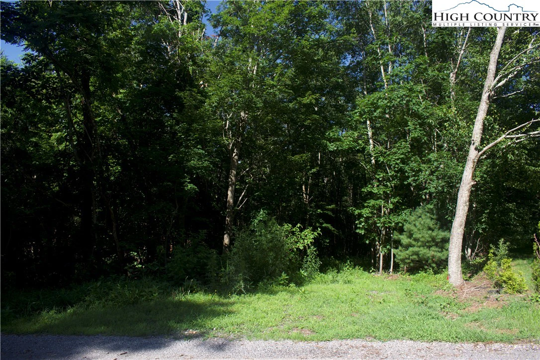 Image number 13 for the current listing