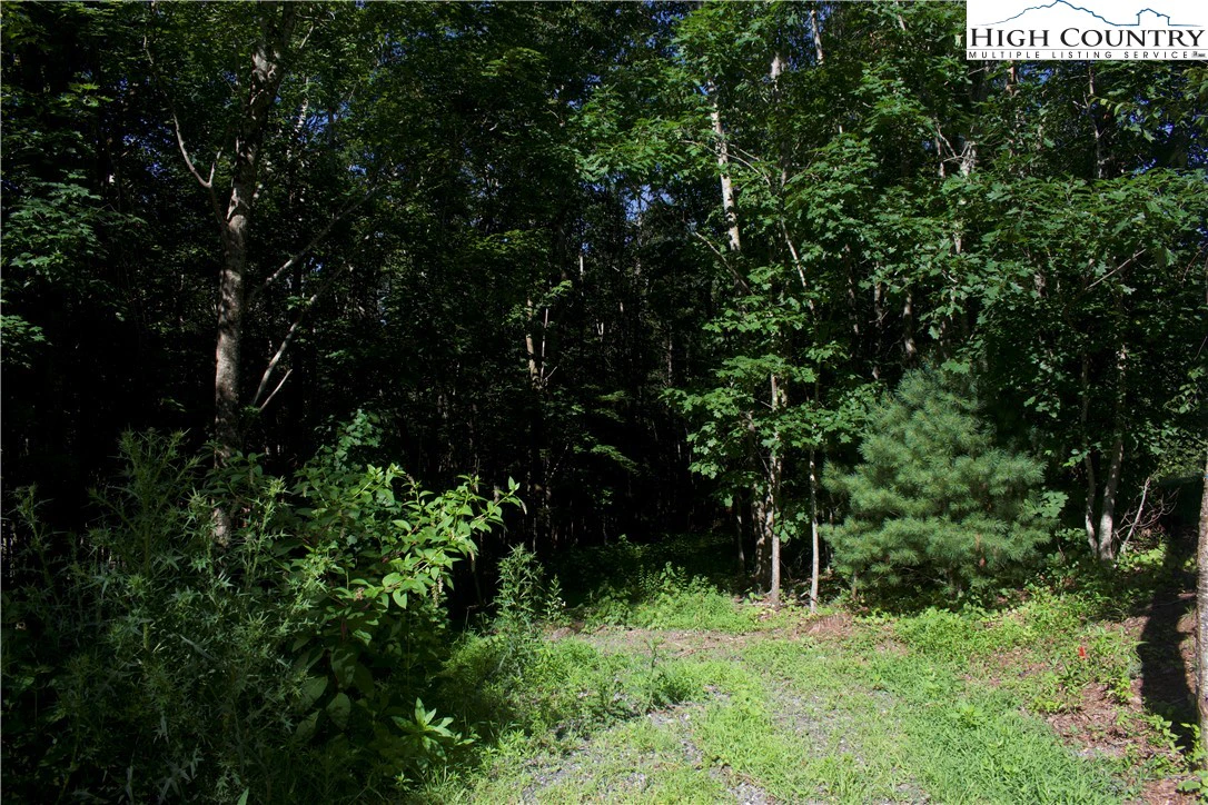 Image number 12 for the current listing