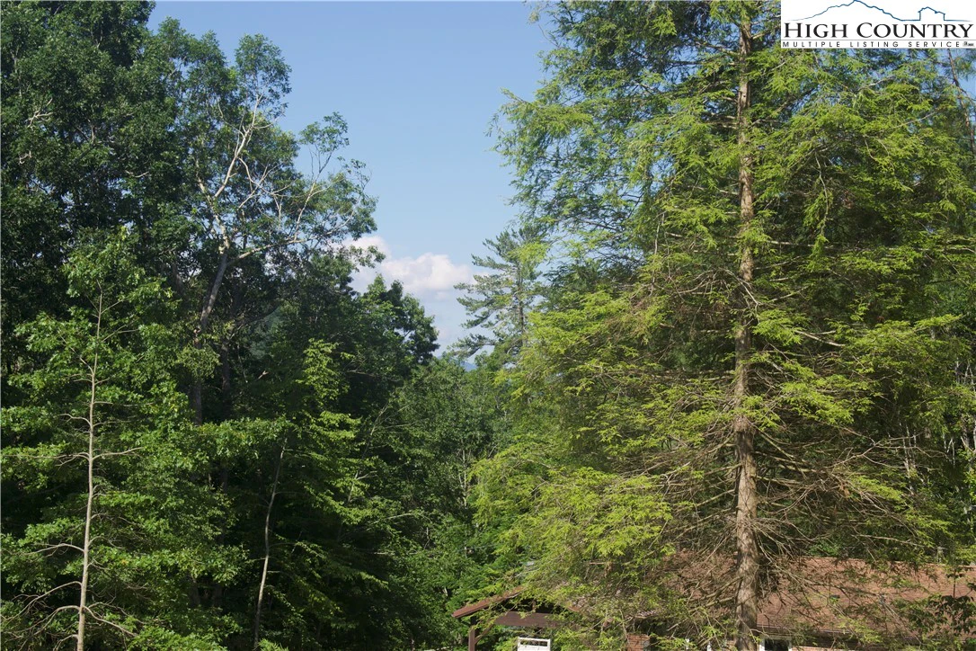 Image number 11 for the current listing