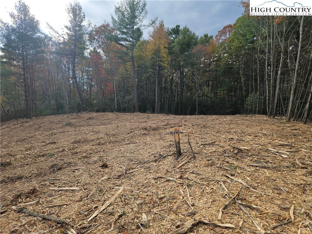 Image number 3 for the current listing