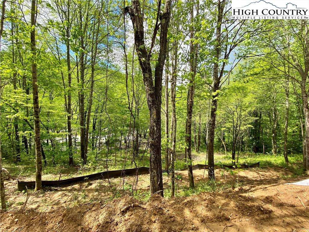 Image number 8 for the current listing