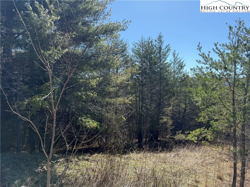 Image number 1 for the current listing