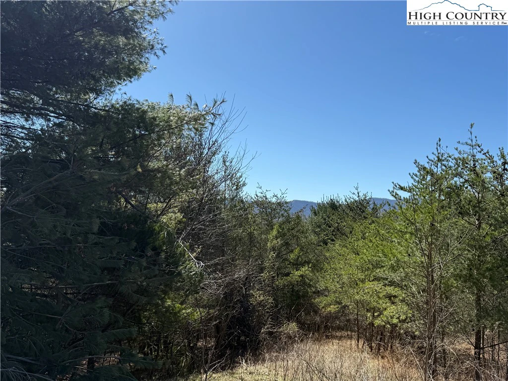 Image number 3 for the current listing