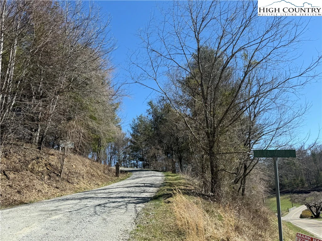 Image number 4 for the current listing