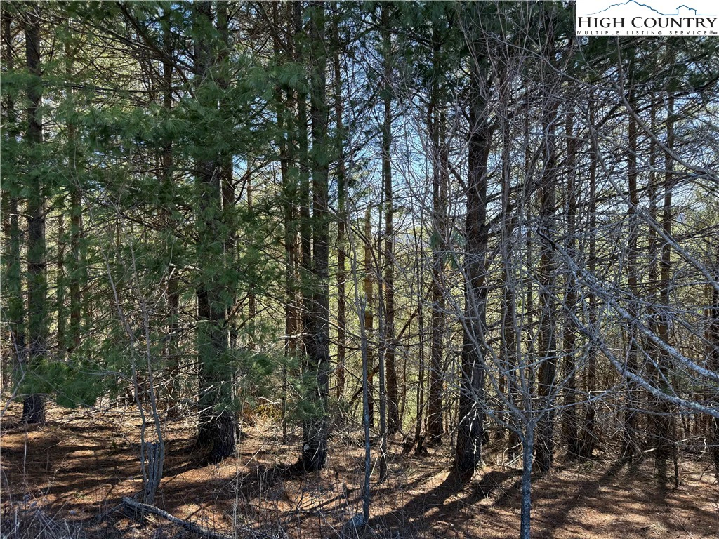 Image number 5 for the current listing