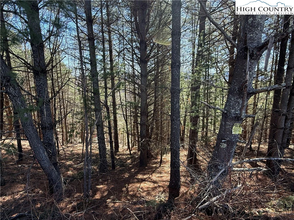 Image number 6 for the current listing