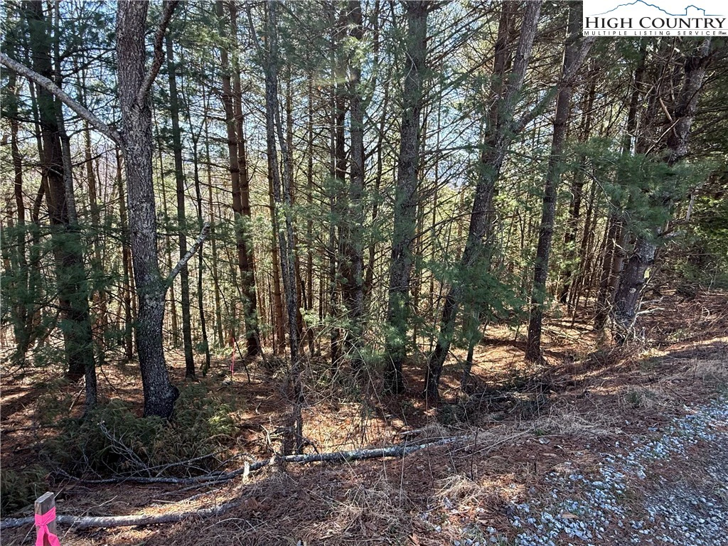Image number 7 for the current listing