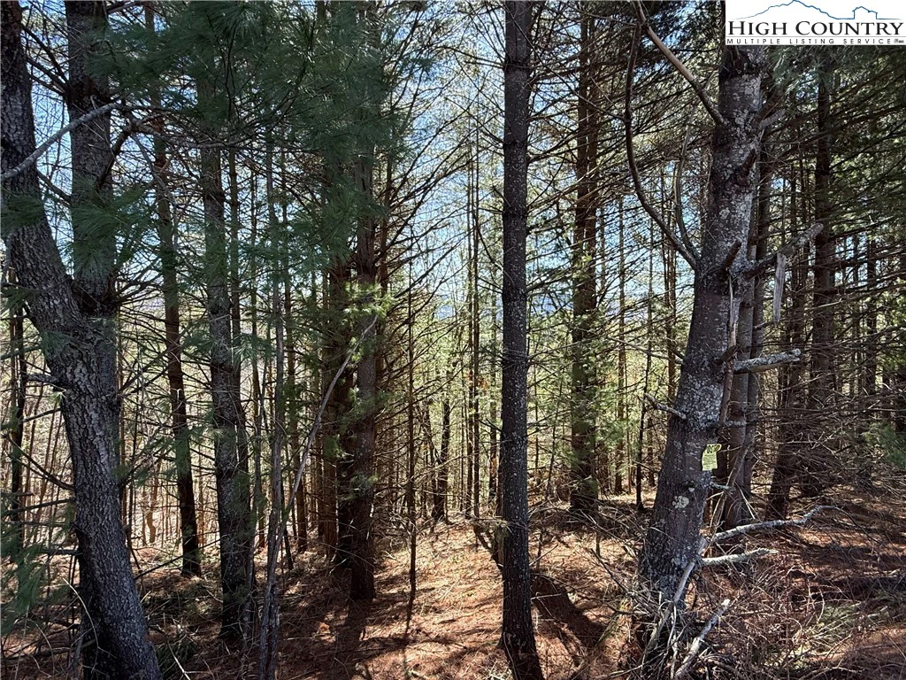 Image number 9 for the current listing