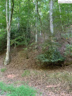 Image number 3 for the current listing