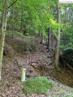 Image number 4 for the current listing