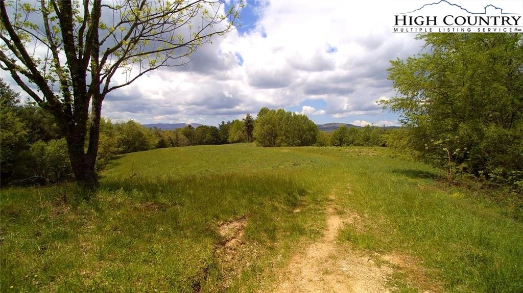 Image number 1 for the current listing