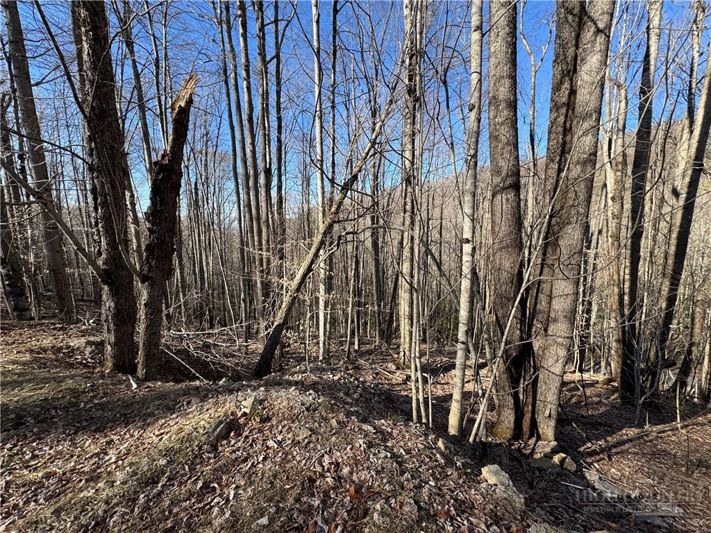 Image number 5 for the current listing
