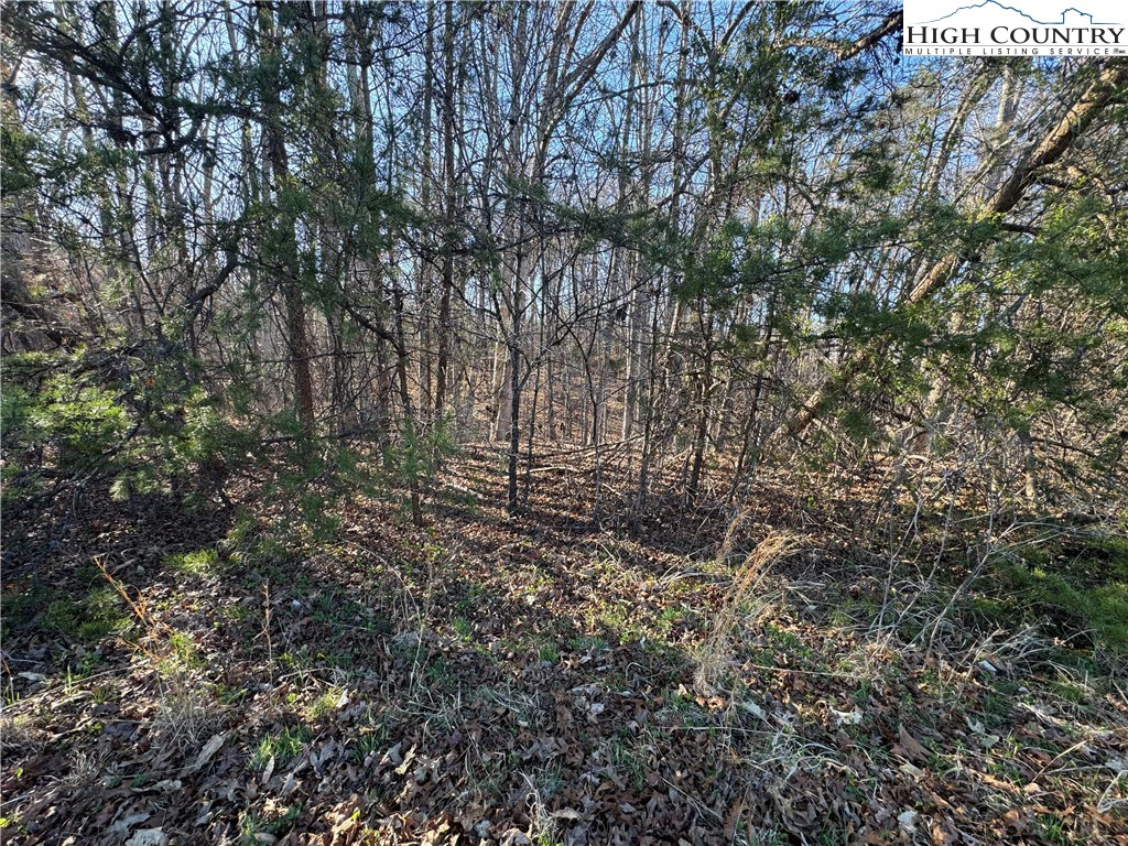 Image number 12 for the current listing