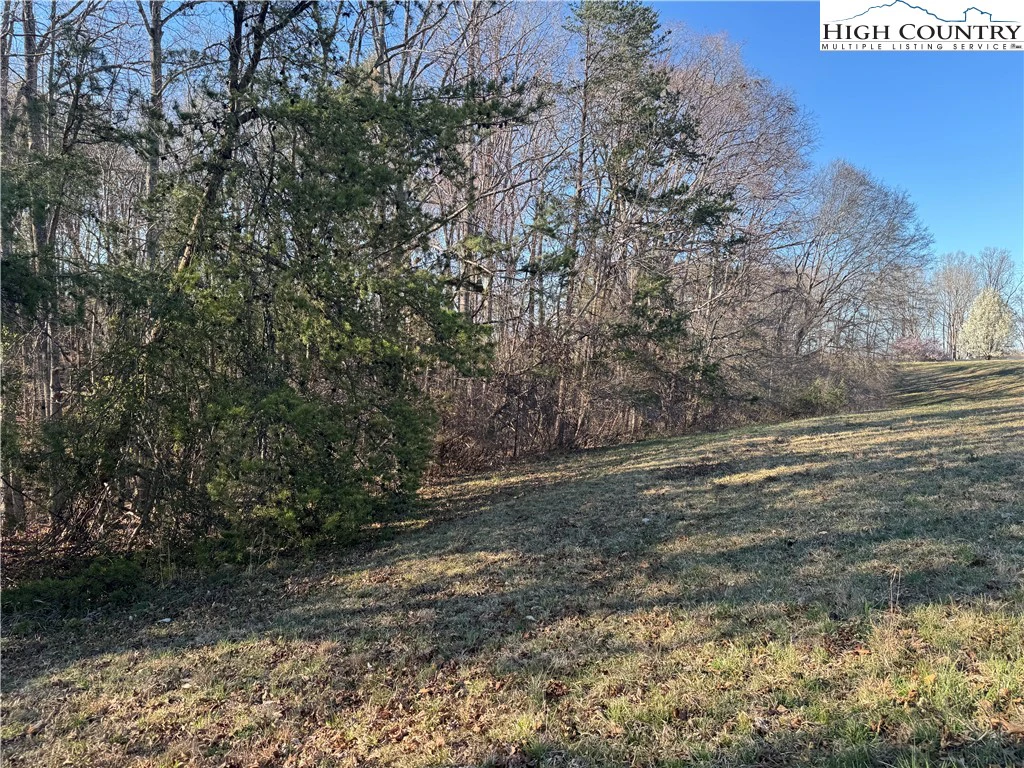 Image number 2 for the current listing