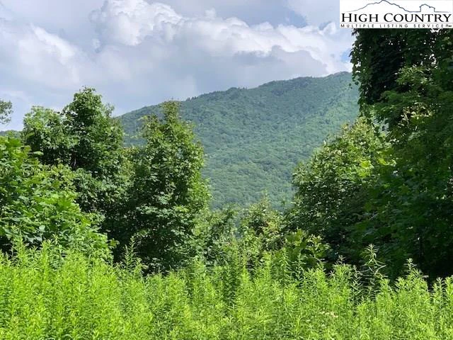 Image number 1 for the current listing