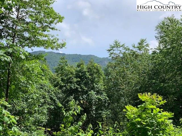 Image number 3 for the current listing