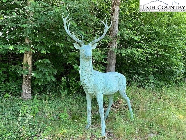 Image number 7 for the current listing