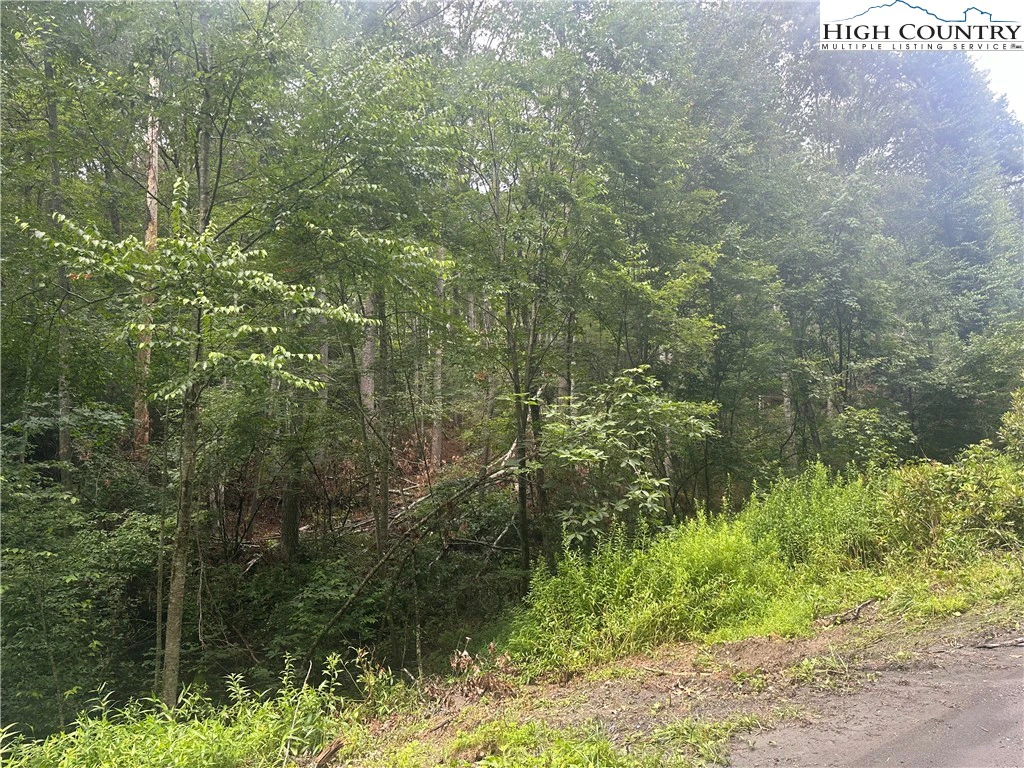 Image number 1 for the current listing