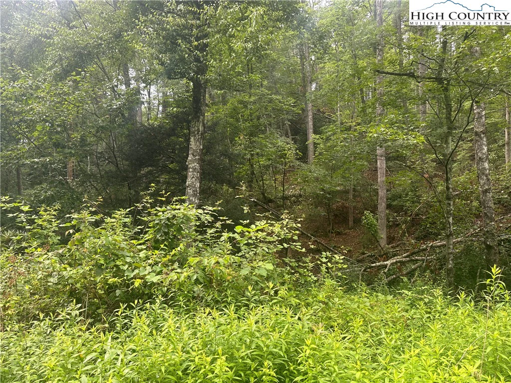 Image number 9 for the current listing