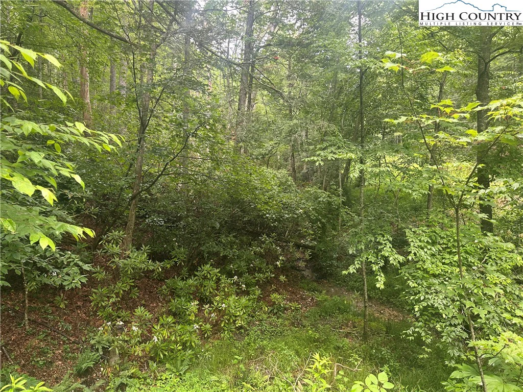Image number 3 for the current listing