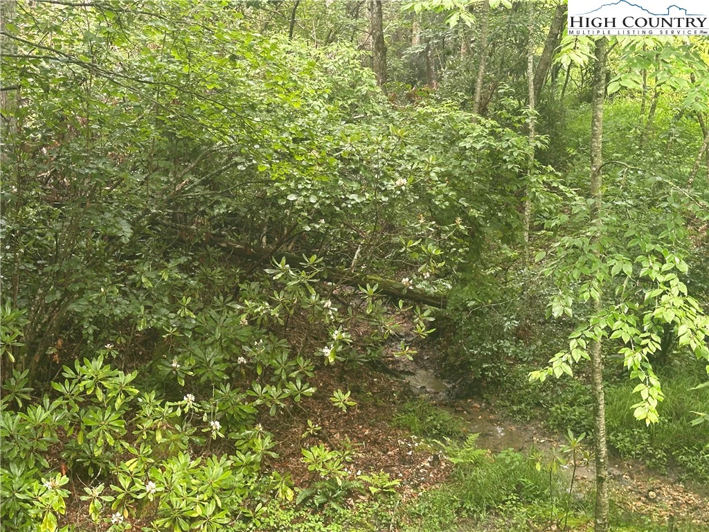 Image number 4 for the current listing