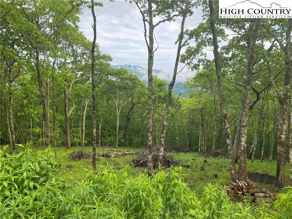 Image number 17 for the current listing