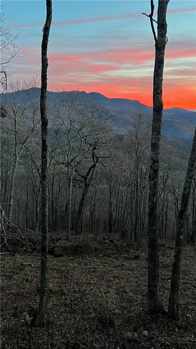 Image number 18 for the current listing