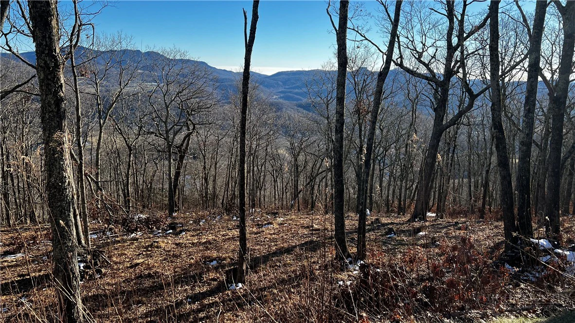 Image number 17 for the current listing