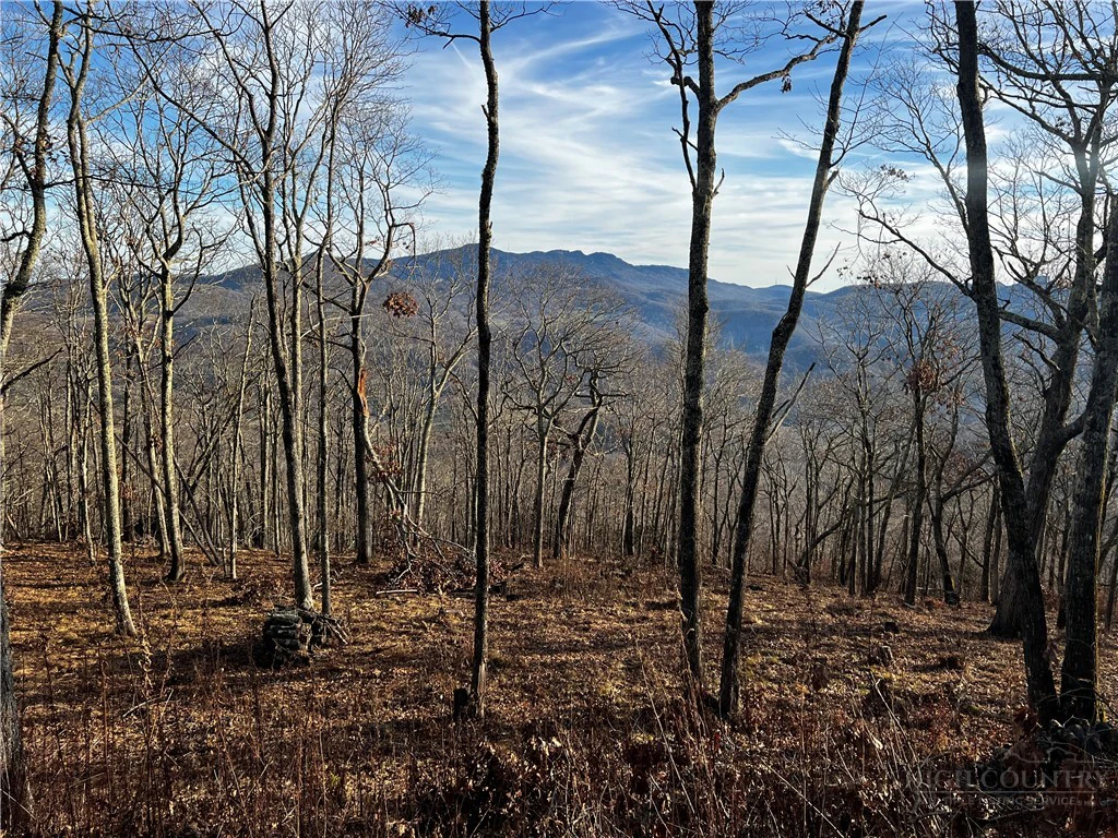 Image number 16 for the current listing