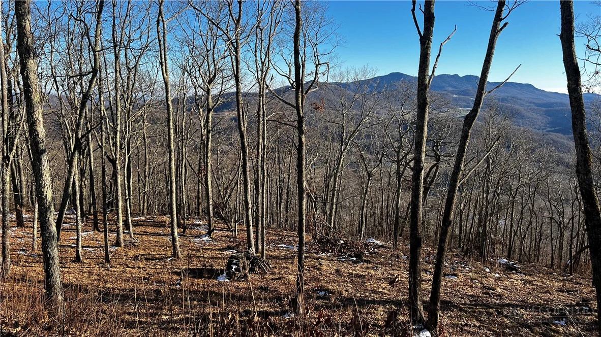 Image number 15 for the current listing