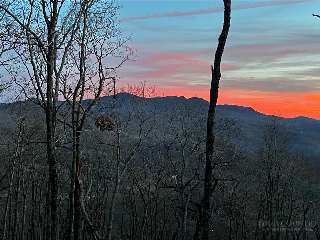 Image number 14 for the current listing