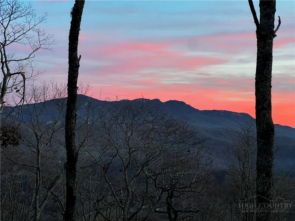 Image number 13 for the current listing