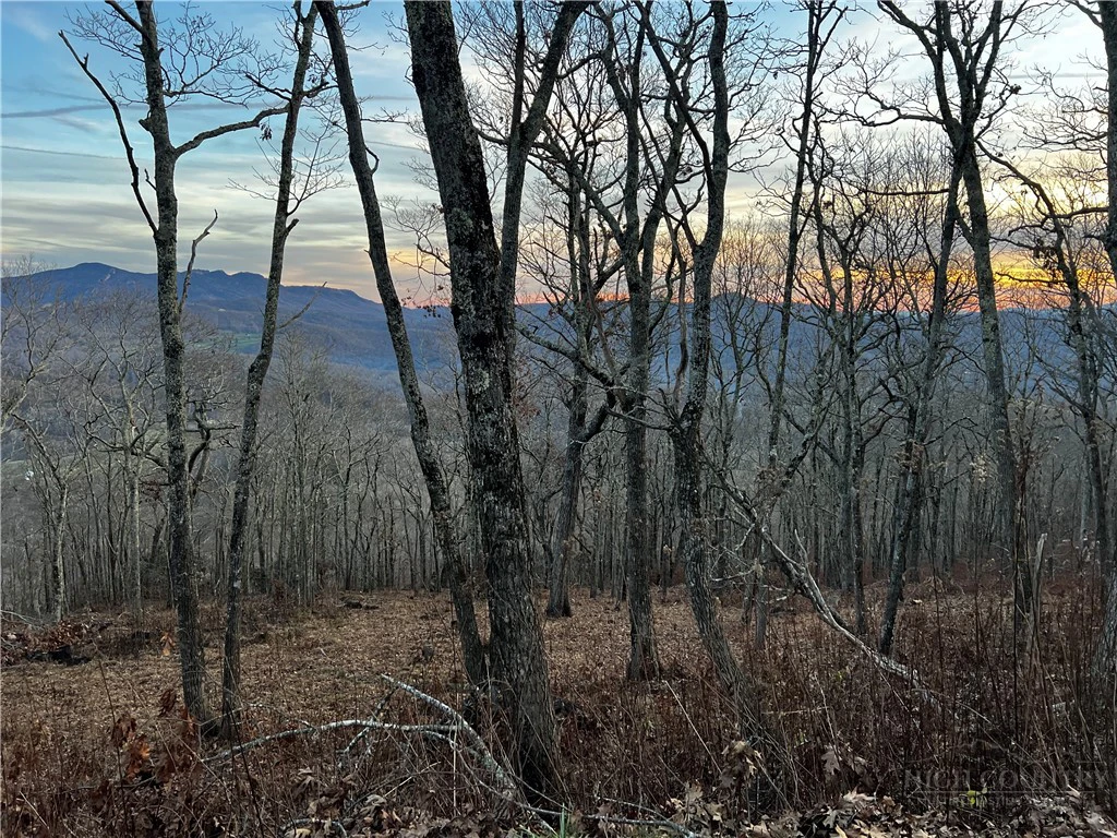 Image number 12 for the current listing