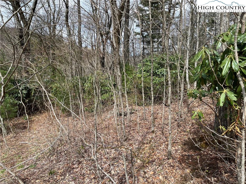 Image number 3 for the current listing