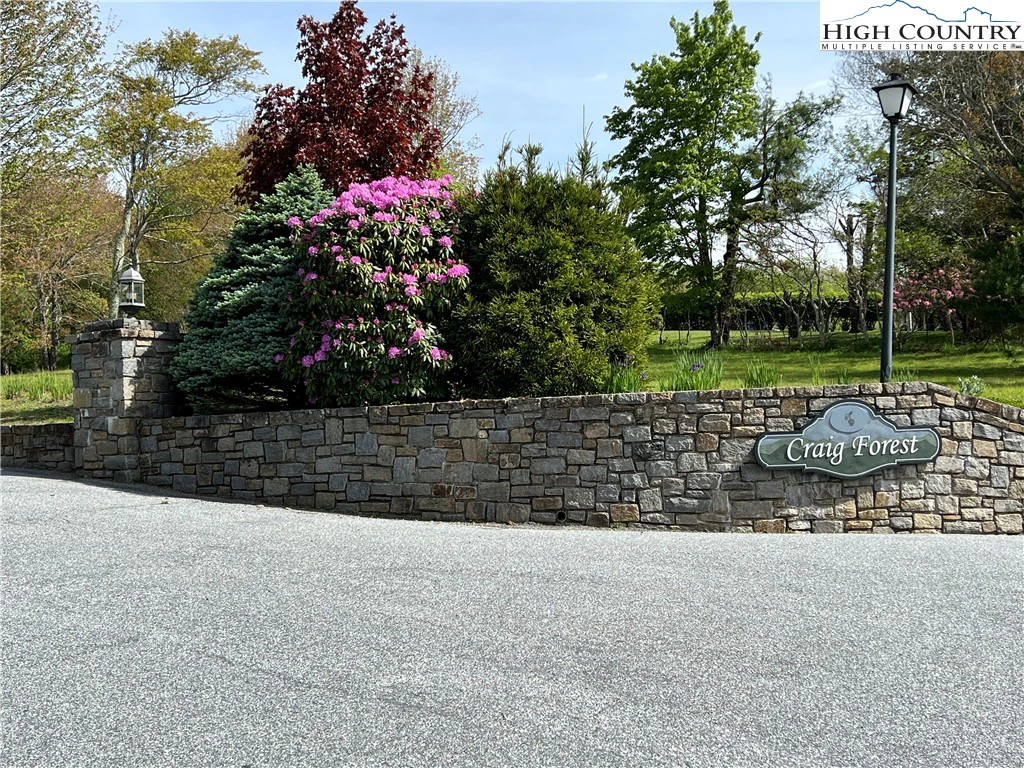 Image number 1 for the current listing
