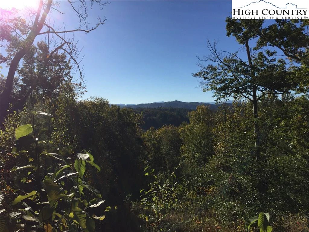Image number 1 for the current listing